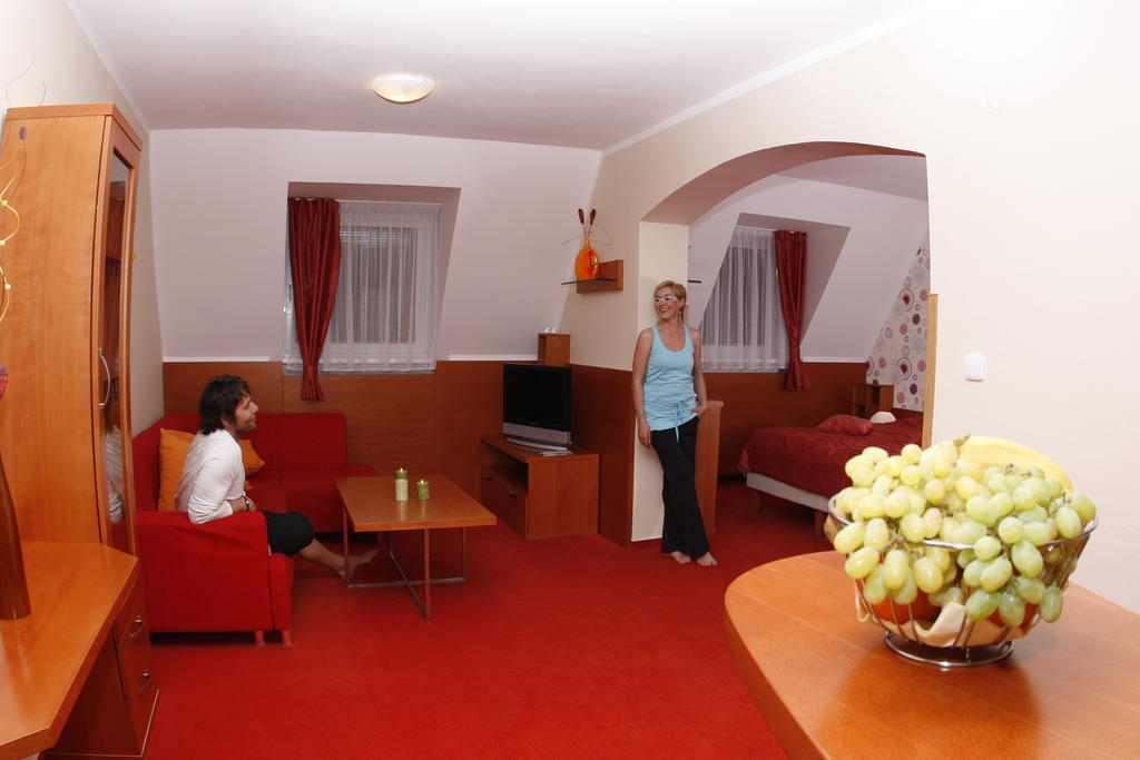Wellness Hotel Diana Velké Losiny Værelse billede